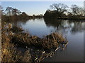 River Thames