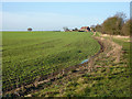 Field towards Parkgate Farm