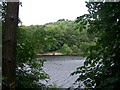 Fishermen on the far bank, Damflask Reservoir, near Low Bradfield