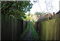 Footpath through Langton Green