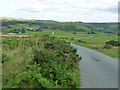 Approaching a cattle grid, near Squilver