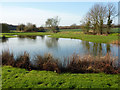 Pond near Rockingham