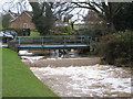 Bridges and water-drop in Great Ayton