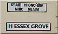 Signs, Essex Grove, Belfast