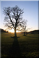 TL8162 : Sun going down in Ickworth Park by Bob Jones