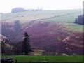 Buckie Burn Gorge