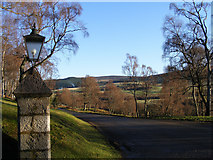NJ1335 : View from the Gate at Tulchan Lodge by Ann Harrison