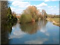 The Itchen from Five Bridges Road