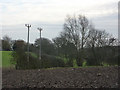 Fields south of Haynes Green Road