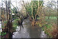 River Len from Spot Lane