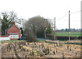 Telegraph poles along Morley Lane