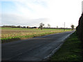 View south-east along Golf Links Lane