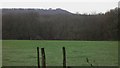 Field and woodland near Fernhurst