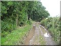 Farm track, Moreton