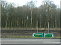 Receding tree line, Coney Grey Wood