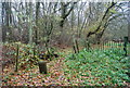 Footpath off Crismill Lane into Poer Meadow Shaw