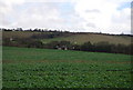 View towards Broad Street