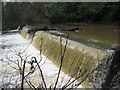 The River Frome in Flood below Oldbury Court