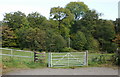 Entrance to fields and woods adjacent to Ty Pwca Road, Cwmbran