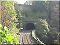 New Mills Central Tunnel