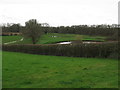 View across hedge to the meandering River Arun