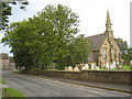 Trees near Ugthorpe Church