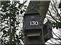 Bat box