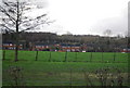 Houses on Wykeham Grove, Leeds