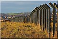 Fence Posts to the Former Steetley Magnesite Works