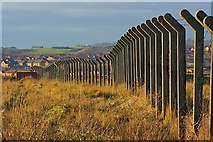 NZ4935 : Fence Posts to the Former Steetley Magnesite Works by Mick Garratt