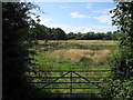 A field near Aldford - August 2009