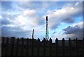 Telecommunications Mast, Ledian Farm