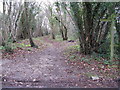 Footpath and bridleway junction at Gennets Farm