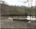 Etherow Country Park