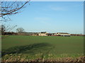 Winter wheat near Dumpling Farm