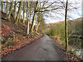 Track to Beacon Wood