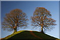 Castle Mound, Oxford