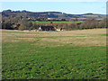 Farmland, Broughton