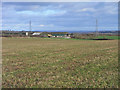 Farmland, Longstock