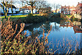 The pond, Little Driffield