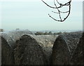 2009 : Straw bales blocking a gateway