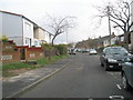 Early winter in Abbeydore Road