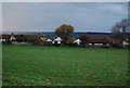 Houses on Kings Acre, Bearsted