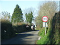 Horses in the road to Landulph Cross