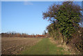 Track near Priory Farm