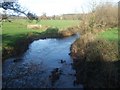 River Creedy from Creedy Bridge on A3072