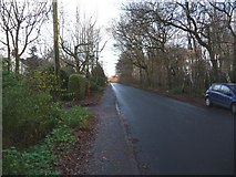 SJ7669 : Looking along New Platt Lane towards Goostrey Lane by Christine Johnstone