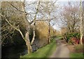 Wimborne, riverside walk