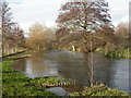 Wimborne, River Allen