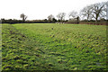 Drainage channel, field north of Riverside Farm